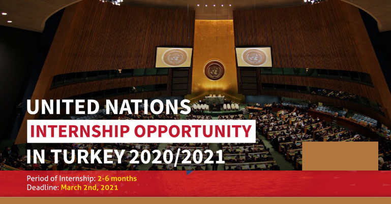 United Nations Internship 2021 in Gebze, Turkey