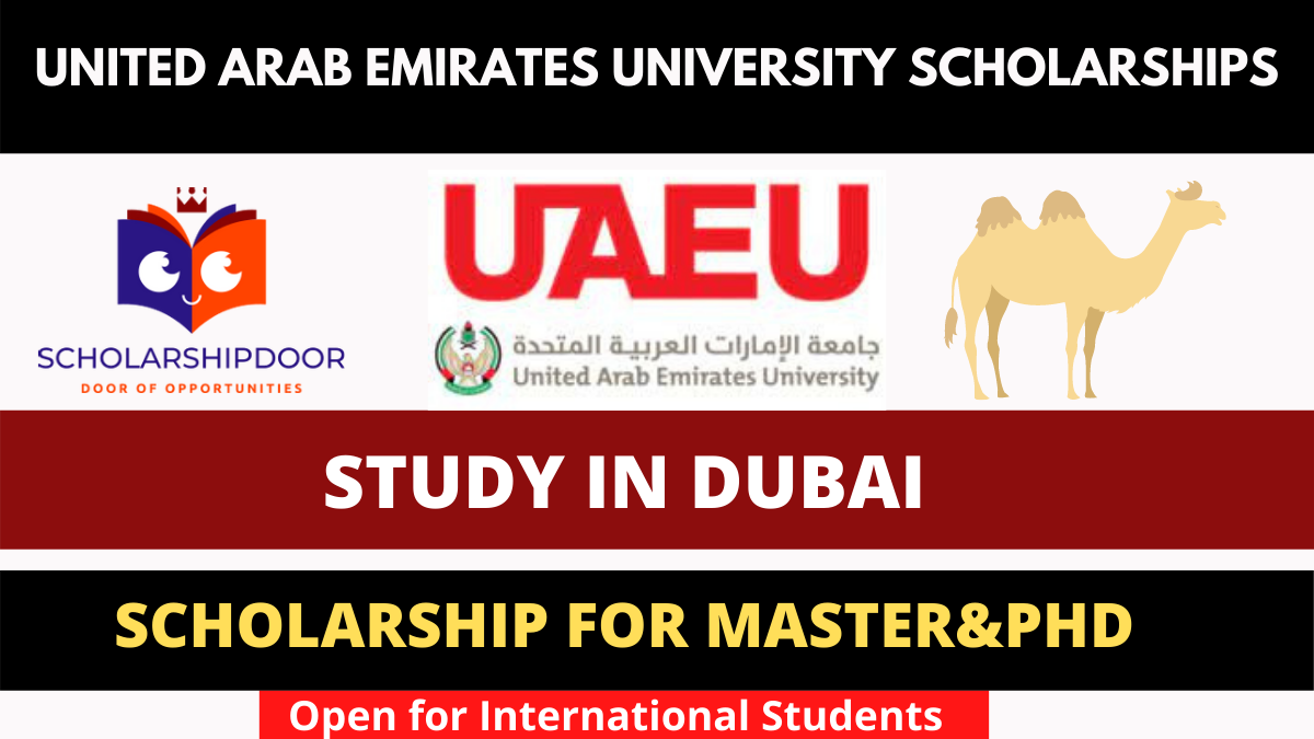 Scholarship in dubai