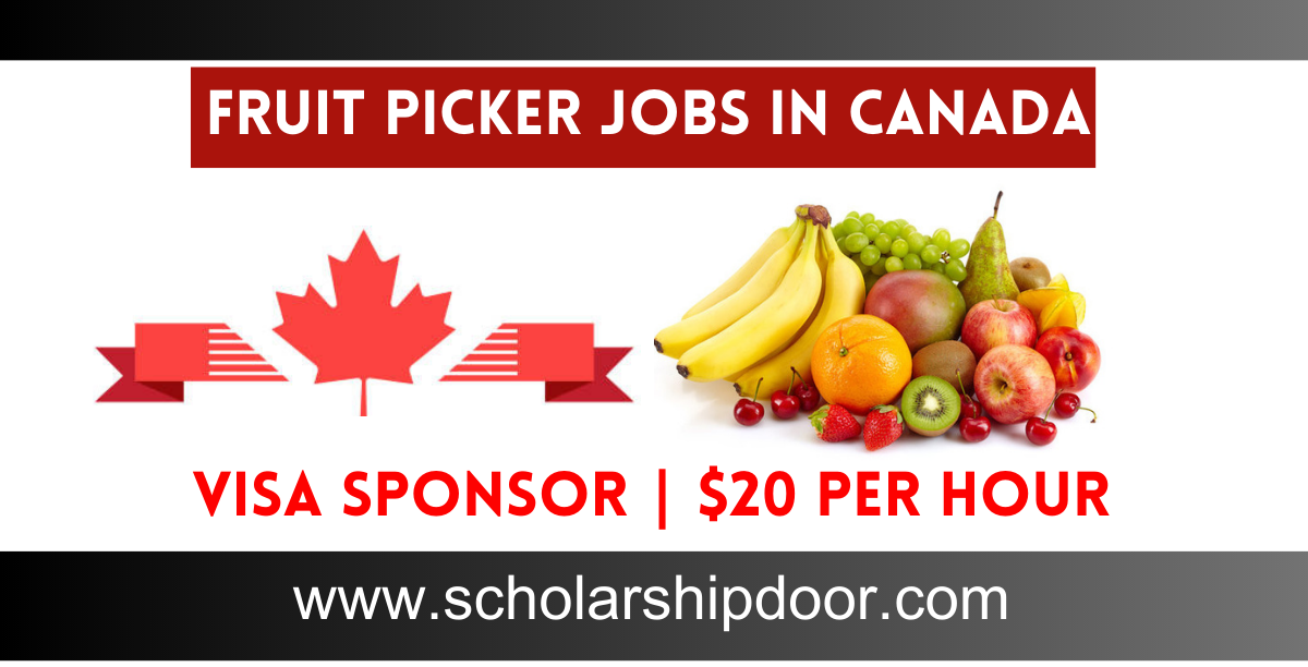 Fruit Picking Jobs in Canada 2023