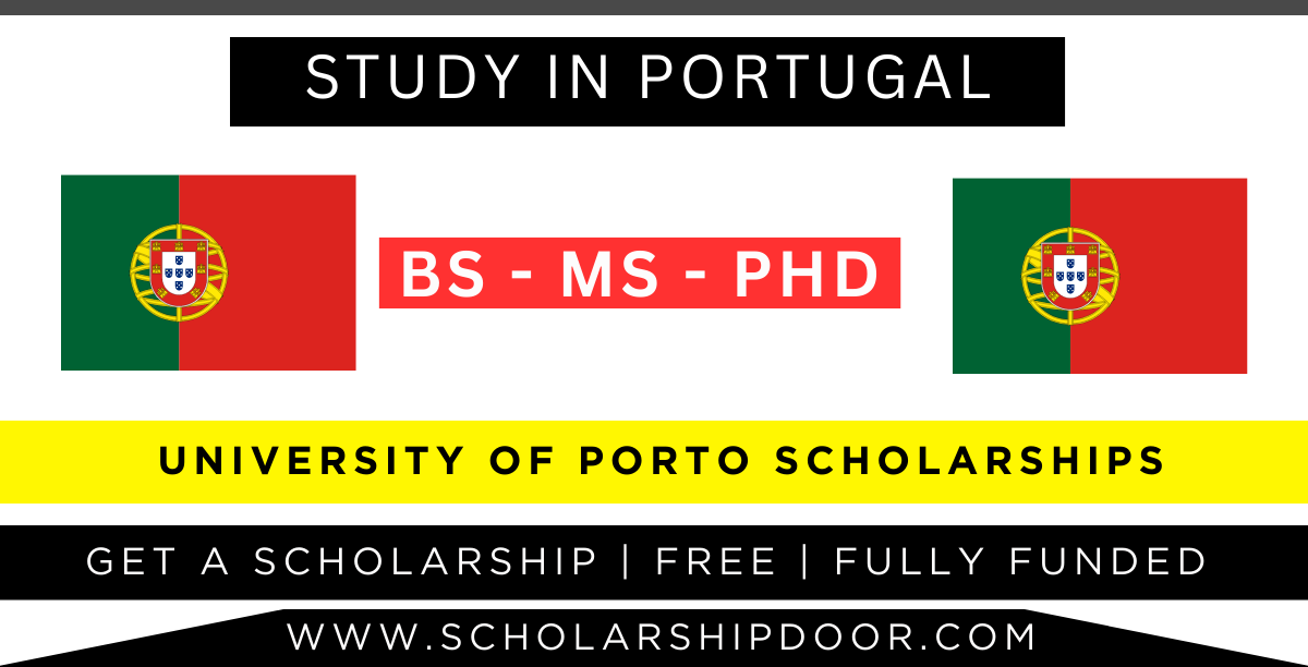 Win a Scholarship to Study at Porto University